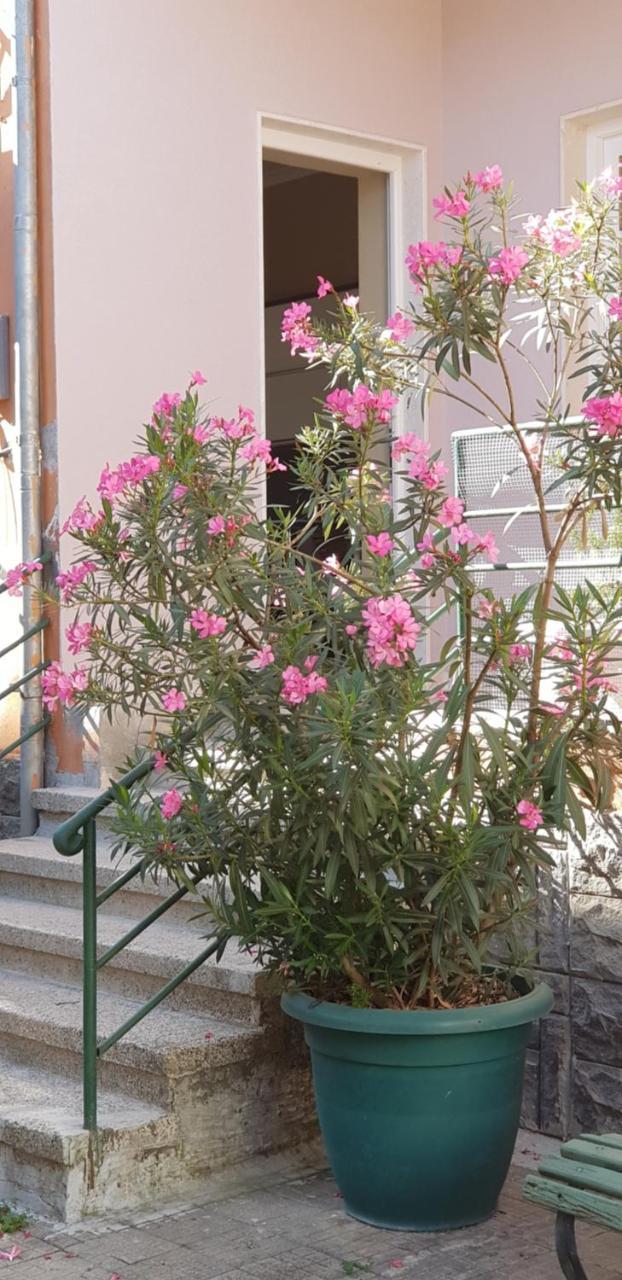 Bellesuite Tirana Buitenkant foto